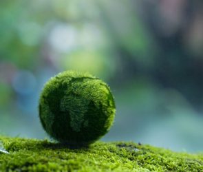 Carbon-Neutral Vacation