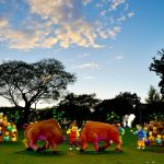 Sustainable Festivals