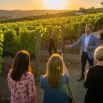 Vineyard Tours